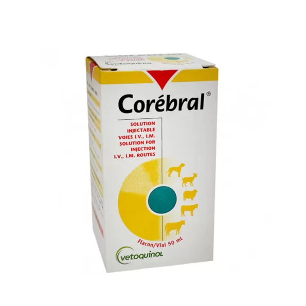 Corebral Injection | 50mL | Vetoquinol حقن كوريبرال | 50 مل | فيتوكوينول