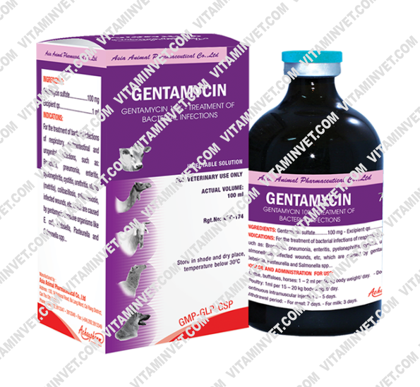 Gentamycin Injection 100ml