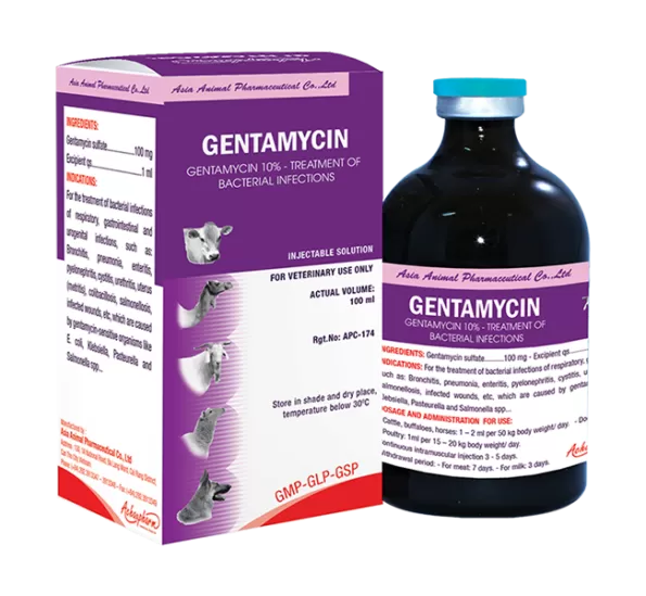 Gentamycin Injection 100ml | حقن جنتاميسين 100 مل