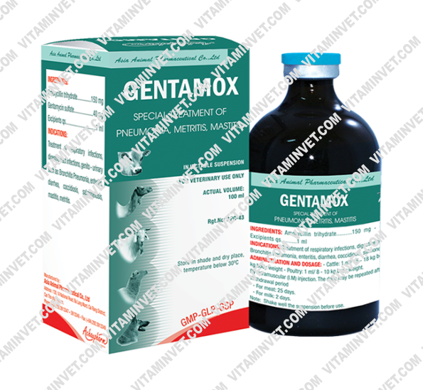 Gentamox Injection 100ml