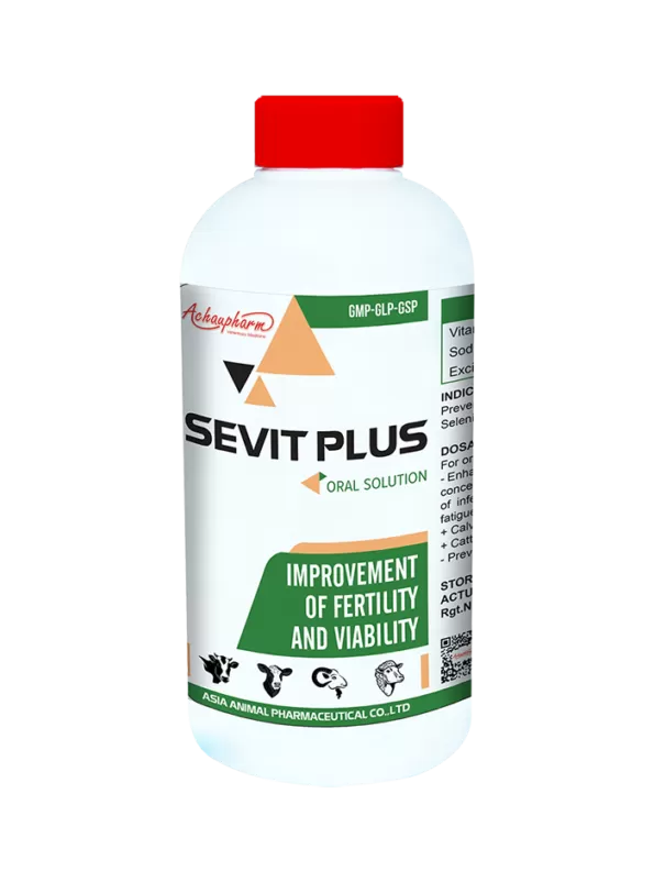 Sevit Plus Syrup | 1 liter | سيفيت بلس شراب | 1 لتر