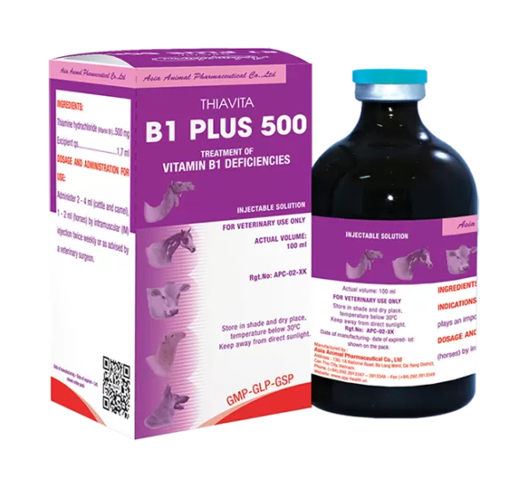 B1 Plus 500 Injection - 100ml | حقن B1 بلس 500 | 100 مل