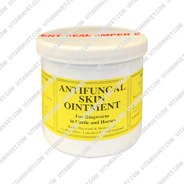 Antifungal Skin Ointment  | 450gm