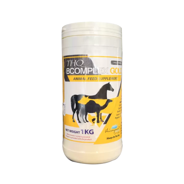 THQ - Bcomlpex Powder | 1kg | بودرة تي إتش كيو - ب كومبلكس | 1 كجم