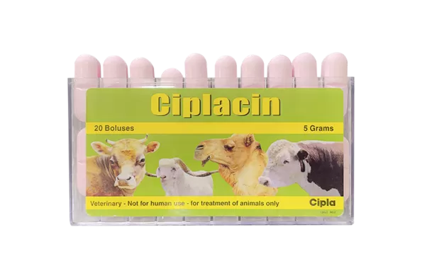 Ciplacin Tablets | أقراص سيبلاسين