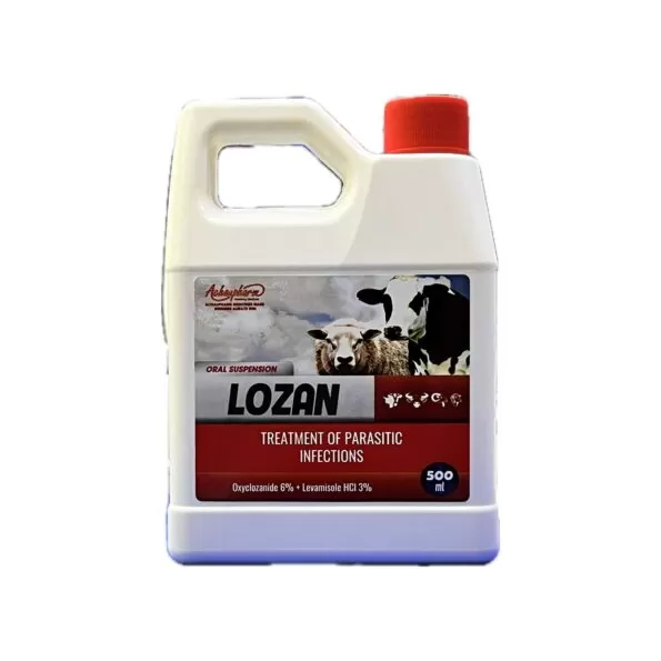 Lozan Syrup 500ml | لوزان شراب 500 مل