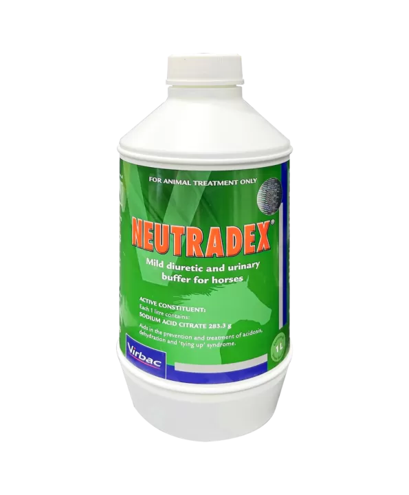 Nutradex Syrup | 1 liter |نوتراديكس شراب | 1 لتر