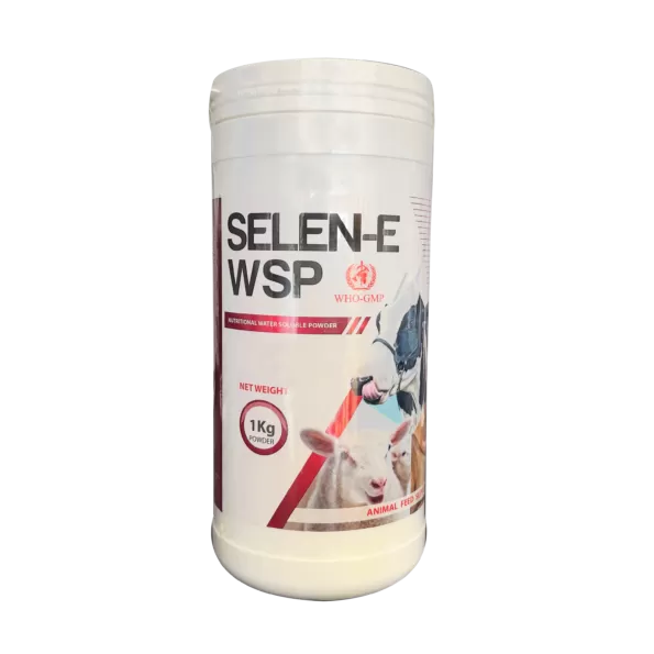 Selene-E WSP Powder 1kg | بودرة سيلين-إي WSP 1 كجم