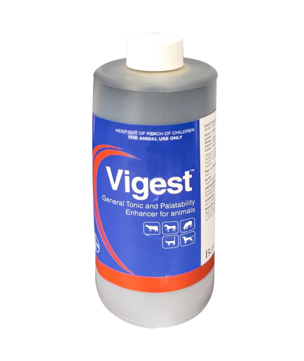 Vigest Syrup  | 500ml | فيجيست شراب | 500 مل