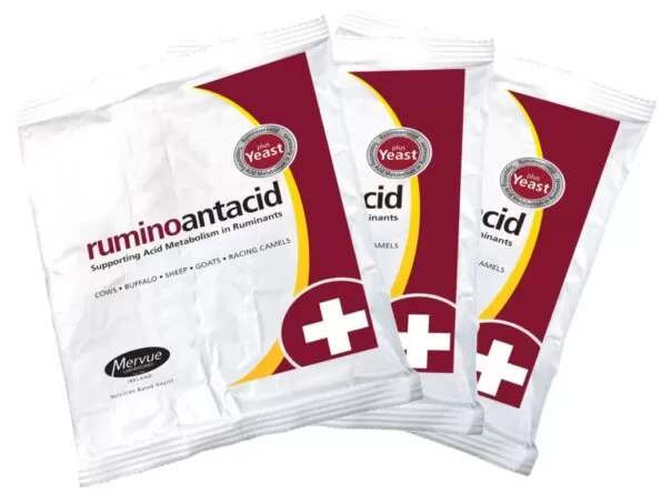 Rumino antacid | 320 g Sachet | رومينو مضاد للحموضة | 320 جرام كيس