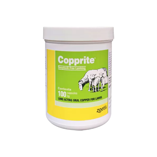 Coppprite | Copper capsules 2 gm |كوببرايت | كبسولات نحاس 2 جرام