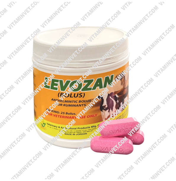 Levozan Tablets 25 Bolus