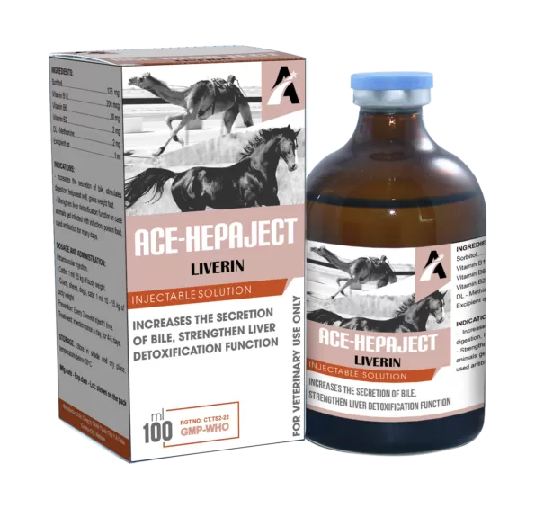 Ace Hepaject Injection 100ml | Ace Hepaject Injection 100ml