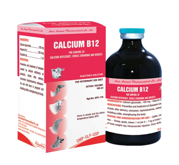 Calcium B12 Injection | 100ml | حقن كالسيوم ب12 | 100 مل