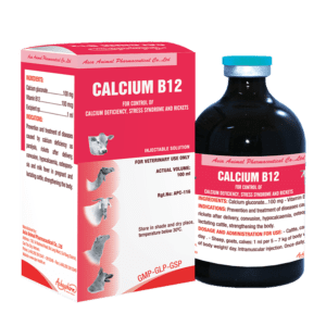CALCIUM B12 3D