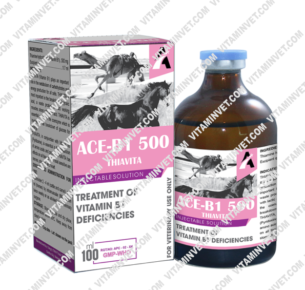 Ace B1 500 Injection 100ml