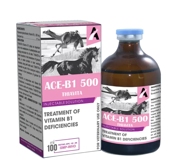 Ace B1 500 Injection | 100ml | حقن آيس B1 500 | 100 مل