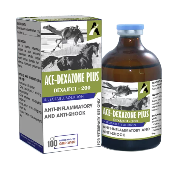 Ace Dexazone Plus Injection | 100ml | حقن آيس ديكازون بلس | 100 مل