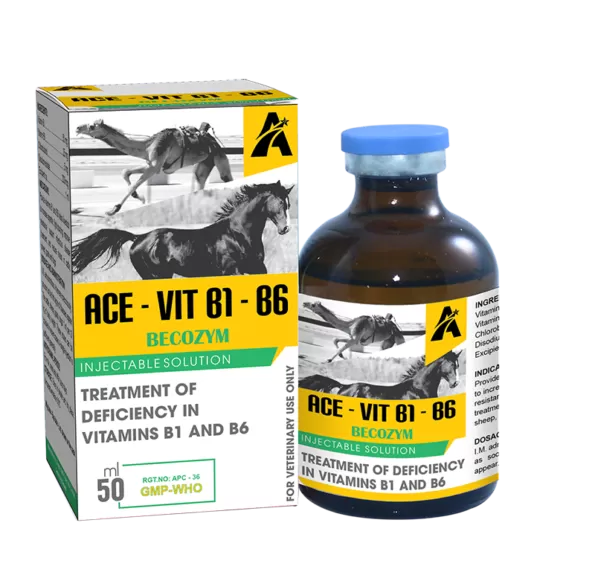 Ace-Vit B1-B6 Injection -50ml | حقن آيس-فيت ب1-ب6 50 مل