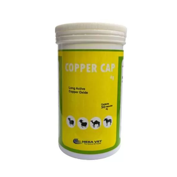 Copper Cap 4g | Copper Capsules | كبسولات النحاس 4 جرام | كبسولات النحاس