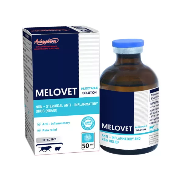 Melovet Meloxicam Injection | 50mL Injection | Achaupharma حقنة ميلوفيت ميلوكيسكام | 50 مل | أشاو فارما